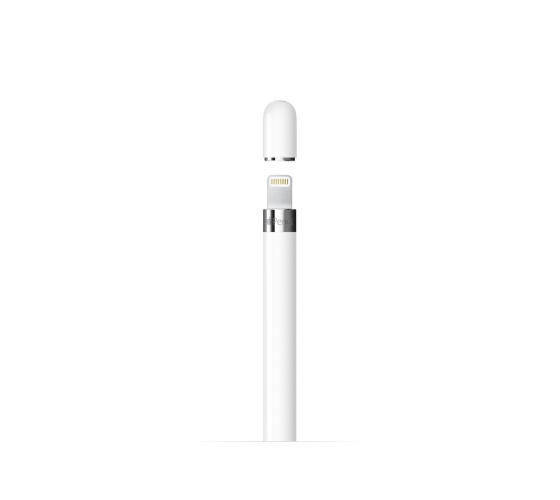 Apple Pencil type C