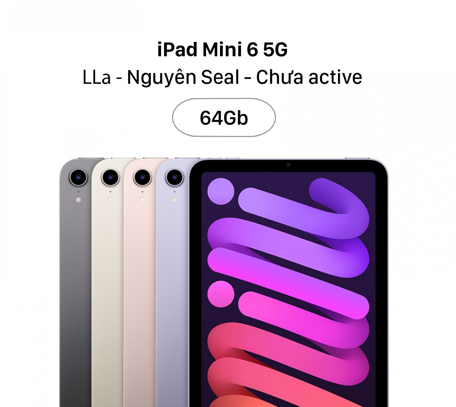 ipad mini 6 64gb 5g